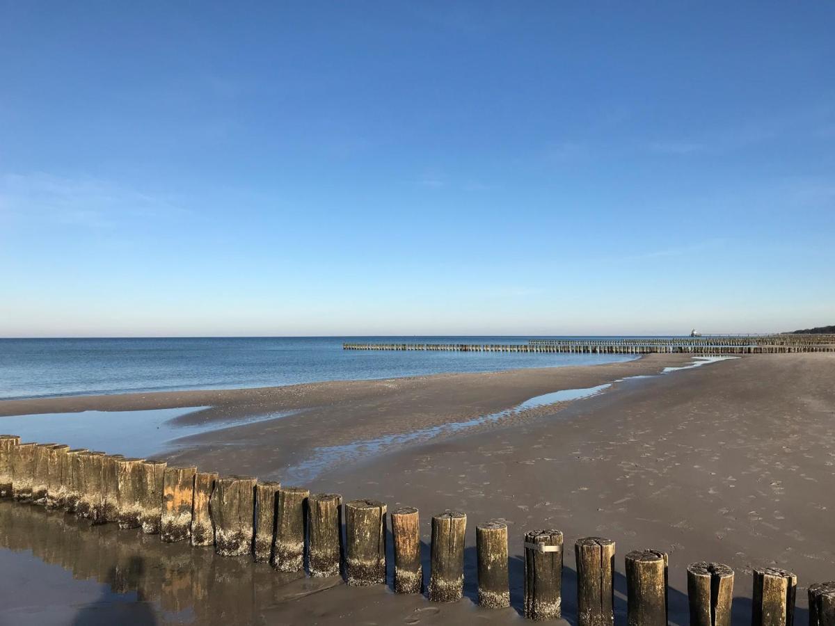 Traumhaus Unter Reet Apartment Zingst Bagian luar foto