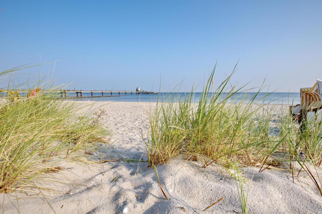 Traumhaus Unter Reet Apartment Zingst Bagian luar foto